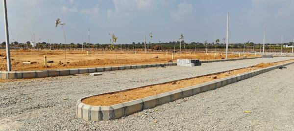  archana-white-lotus Plot