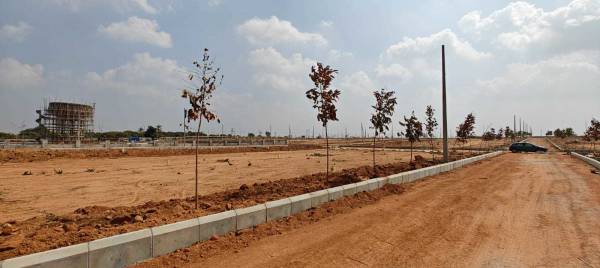  archana-white-lotus Plot