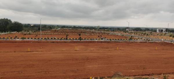  paradise-county Elevation