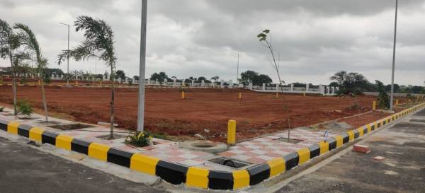  paradise-county Plot