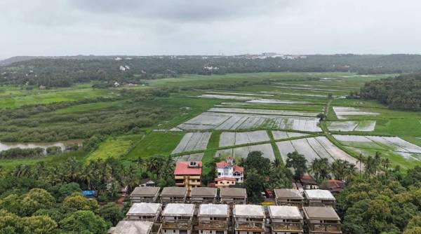  irene-la-villa Others