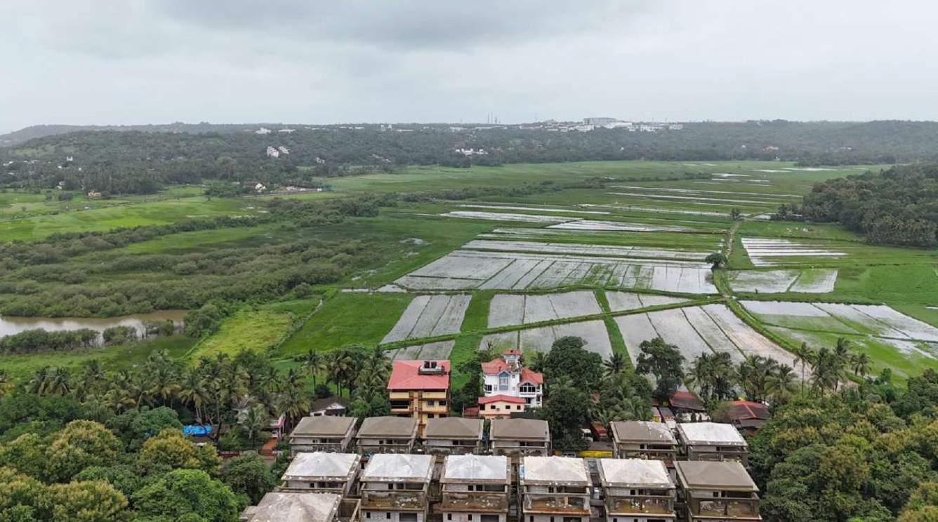  irene la villa Others