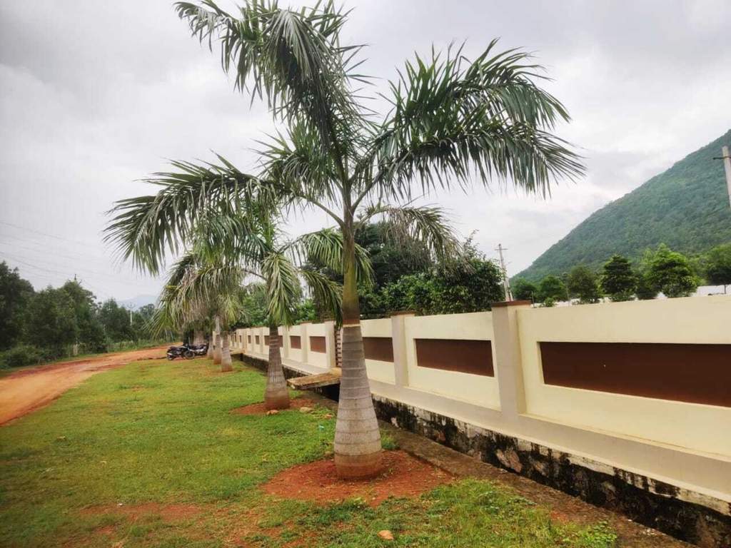 sukruti springs phase ii Landscape Garden and Tree Planting