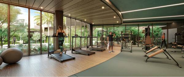  the-valley Gymnasium