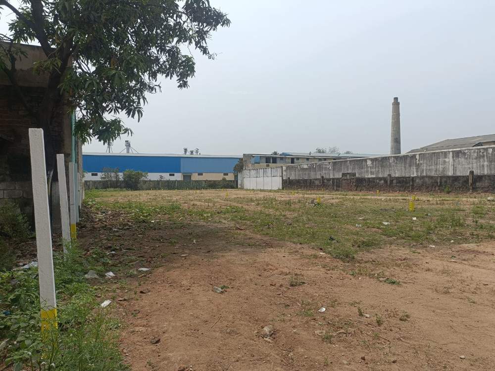  gk garden Plot