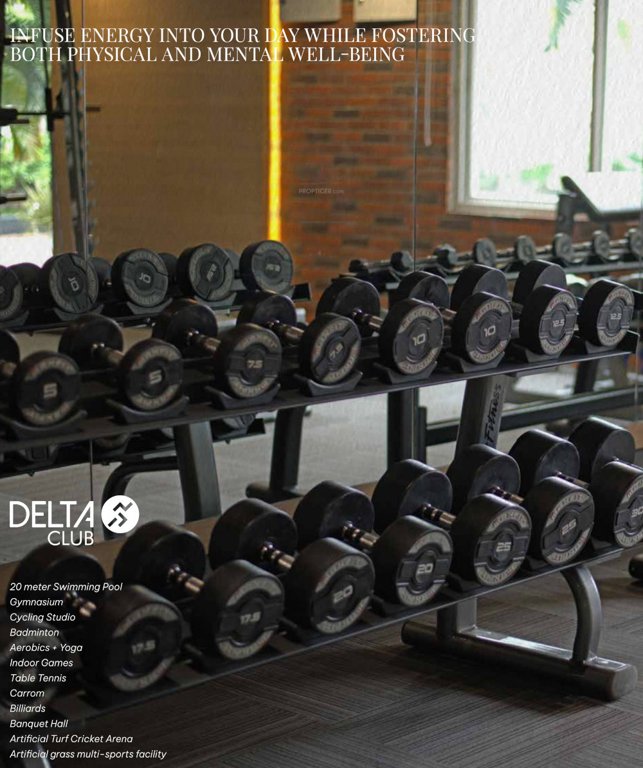  nile valley project block 8b Gymnasium