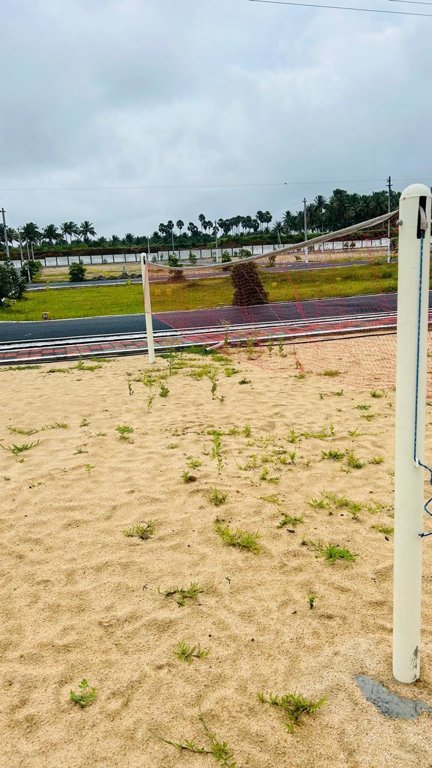 oak tree Basketball Court
