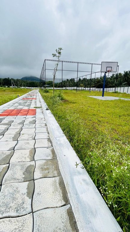  oak tree Basketball Court