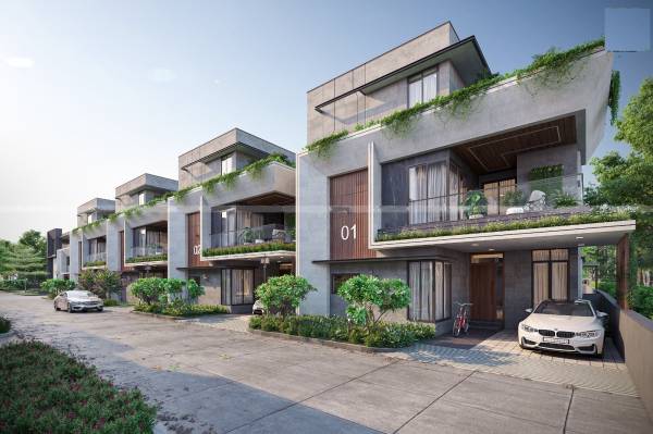  tranquil-emerald Elevation