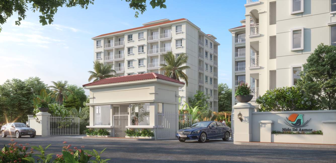  nido de aamor Others