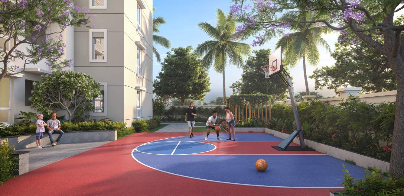  nido de aamor Others