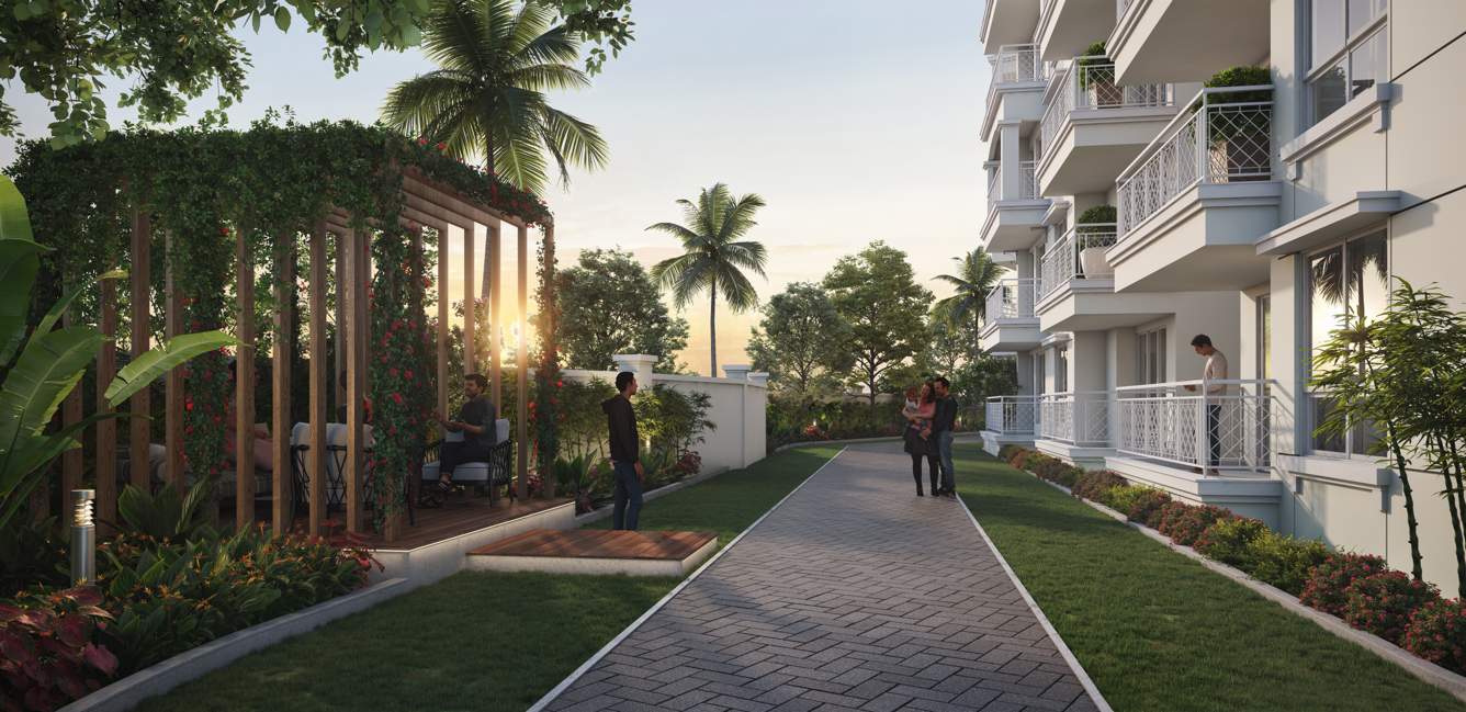  nido de aamor Others