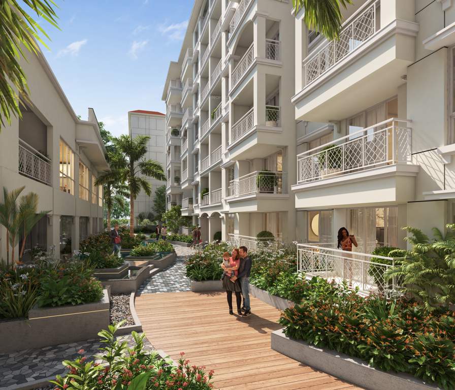  nido de aamor Others