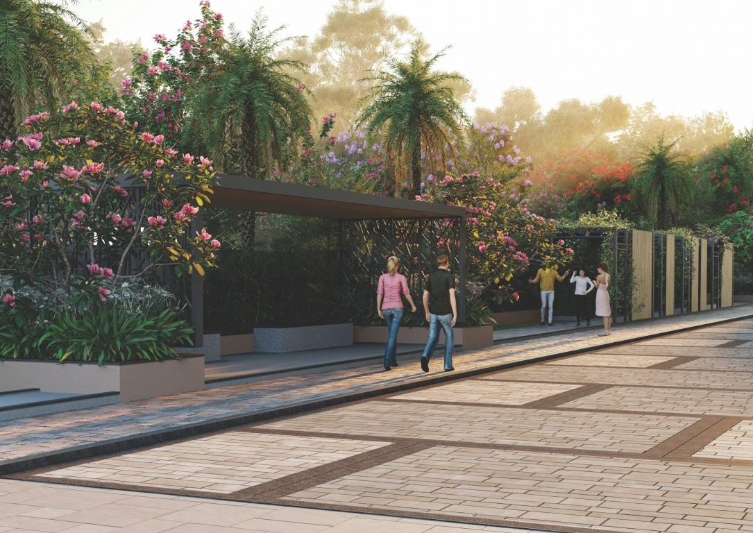  tatva Paved Compound