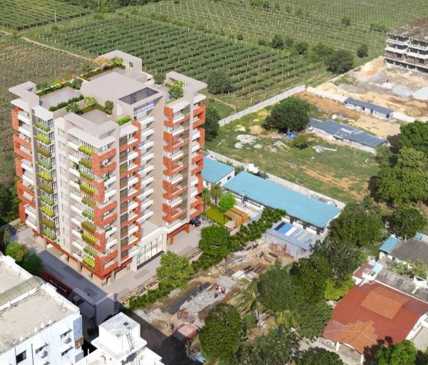  lake-woods Elevation