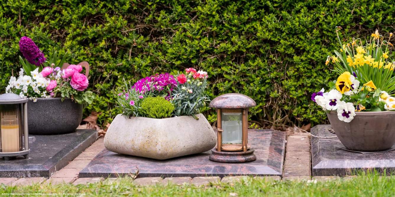  the pearl Landscape Garden and Tree Planting