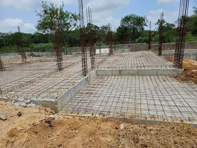  pranahita meadows Construction Status March 25