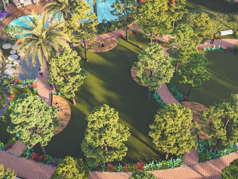  fortunr retreat Landscape Garden and Tree Planting