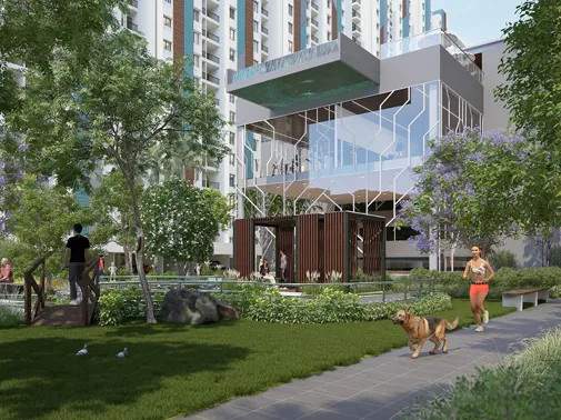 uptown avenue Landscape Garden and Tree Planting