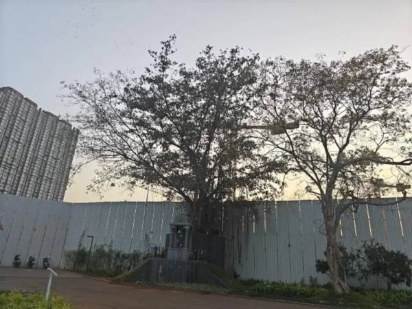  airica-tower Tower 1 Construction Status March-25