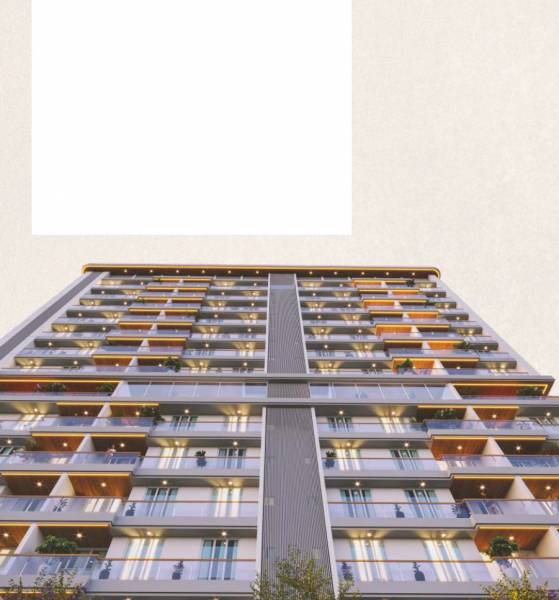 Others yogi-edhas Others