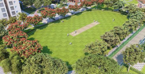  dioro-and-beryl-at-brigade-el-dorado Cricket Pitch