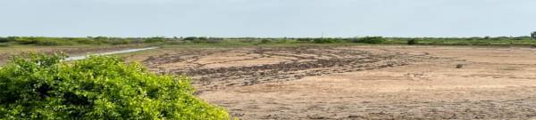  prelude-industrial-park Elevation