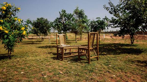  dreamscapes-eco-sphere Others