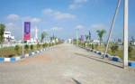 Plot  empire-starcity Plot