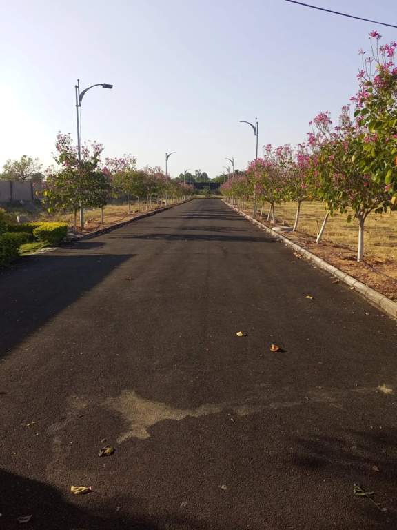 season town phase ii Internal Roads