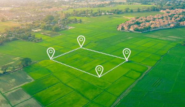  green-south-tulip Plot