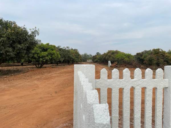  milieu-habitat Elevation