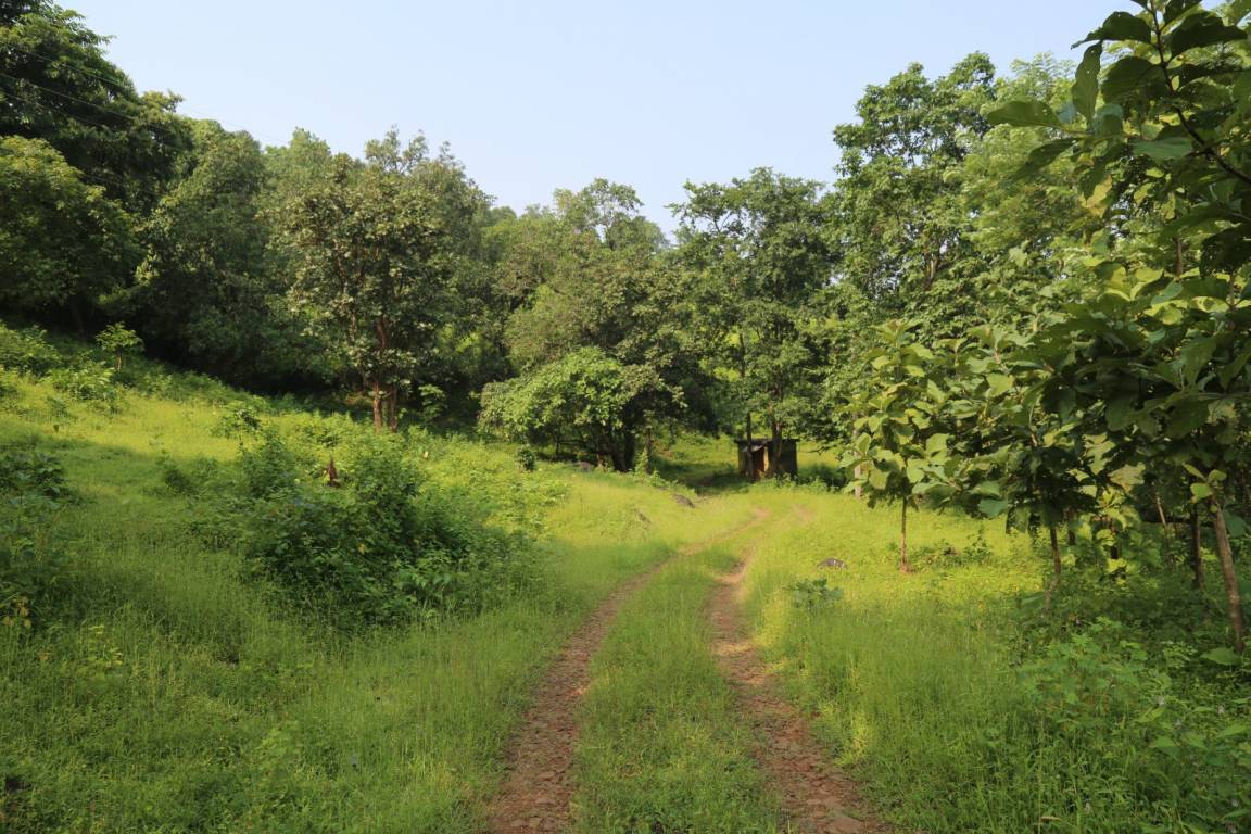 banglow plots in roha evernest prime Plot