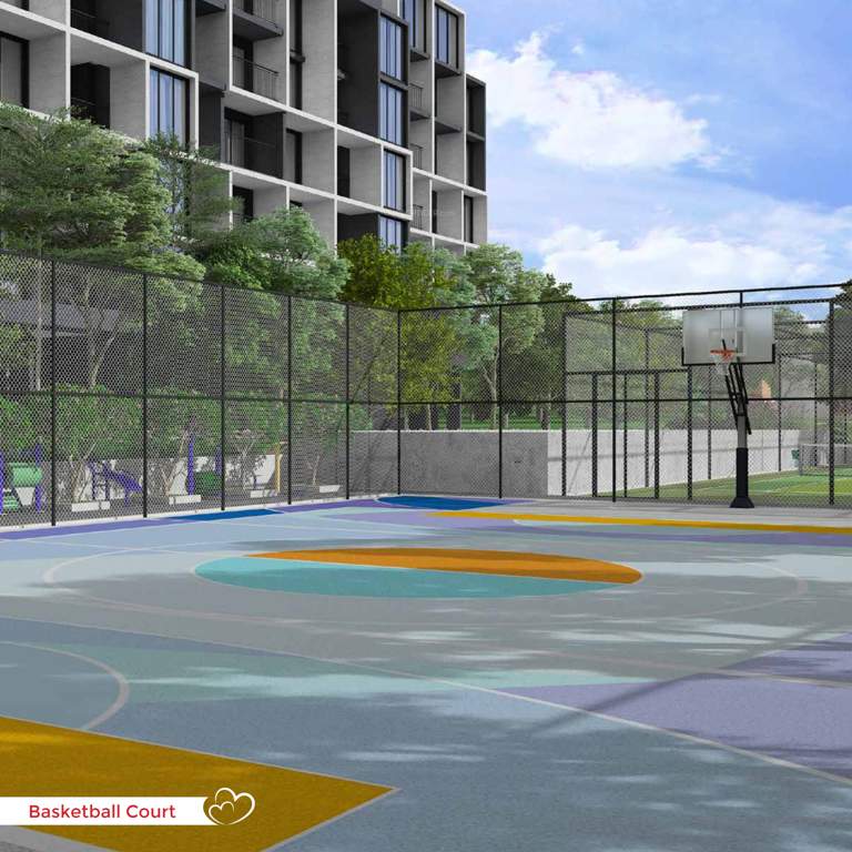  amor Basketball Court