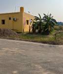 Internal Roads mn-garden Internal Roads