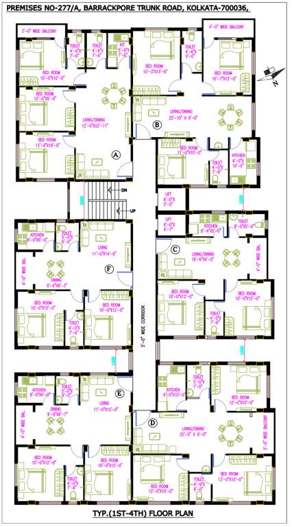  aster Green Aster Cluster Plan