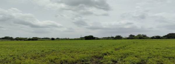 Elevation somnath-residency Elevation