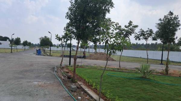  green-gold-city Plot