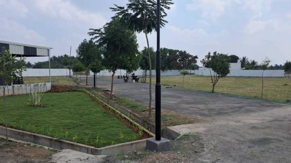  green-gold-city Plot