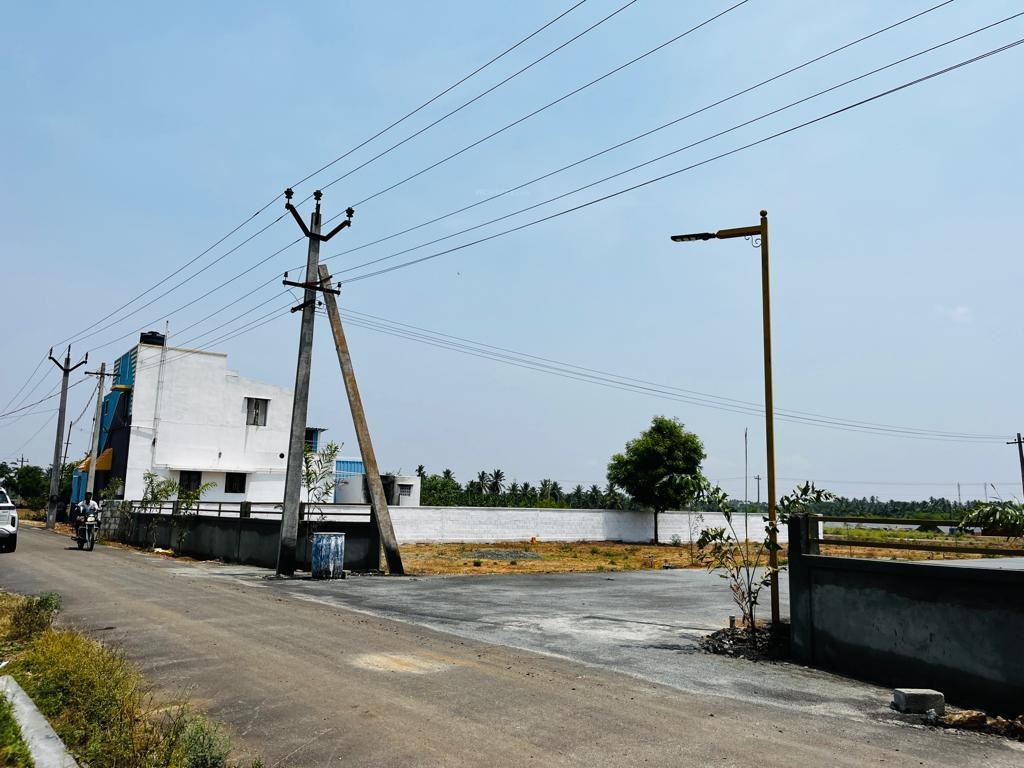  global garden Others