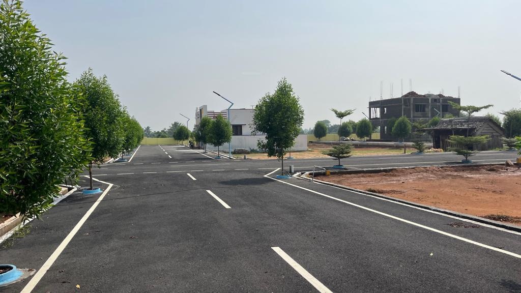 eco life gardenia Plot