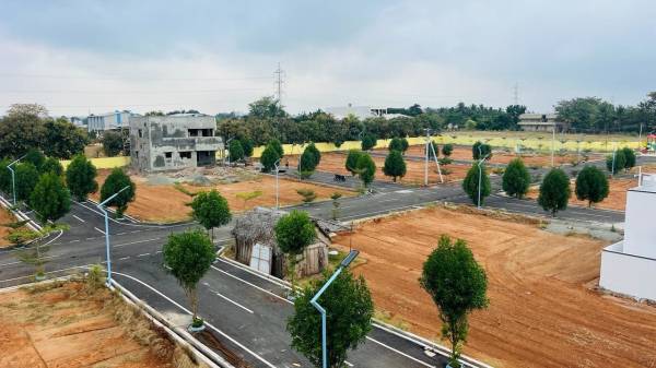  eco-life-gardenia Plot