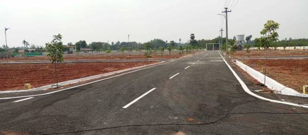 Plot thiru-murugan-nagar Plot