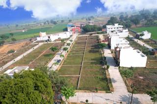 Project Image Project Image