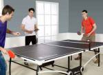 Table Tennis eastern-sky Table Tennis