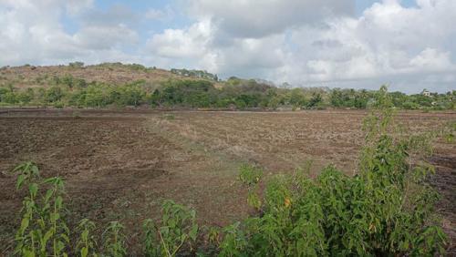 Elevation residential-plots-in-belondakhar-near-mumbai-trans-harbour-link-bridge Elevation