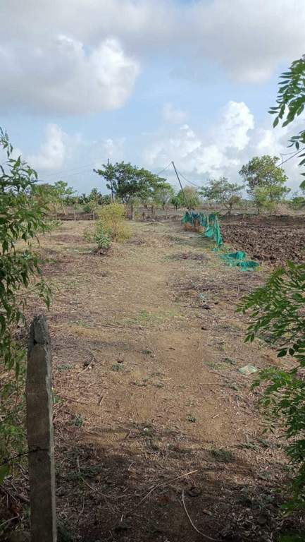  residential plots in belondakhar near mumbai trans harbour link bridge Plot