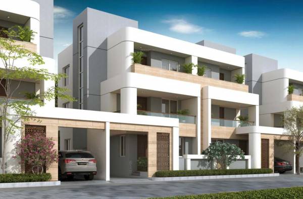 Elevation rajmani-10 Elevation