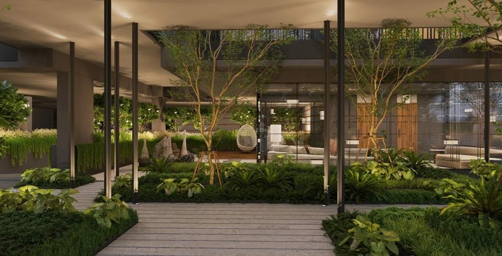  apricus 2 Landscape Garden and Tree Planting