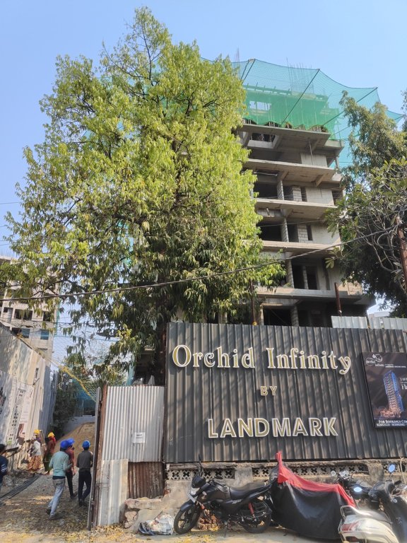  infinity Orchid Infinity Construction Status March 25